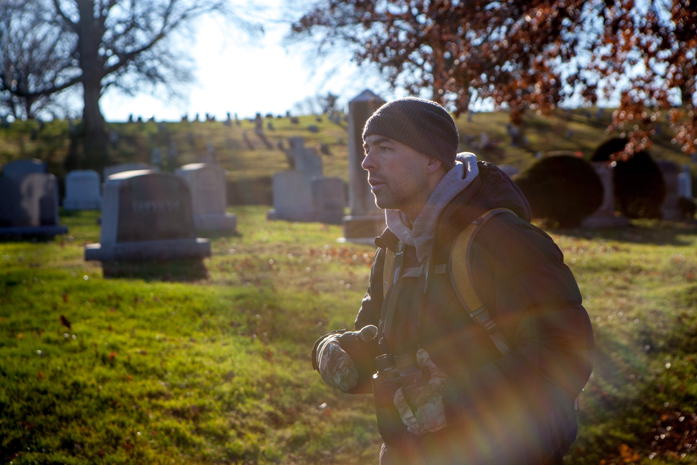 In its near 200 years of existence, Green-Wood Cemetery in Brooklyn, New York, has become a beloved hotspot for birders. Of the 163 species that have been found there, 40 or more are winter residents. Camilla Cerea/Audubon