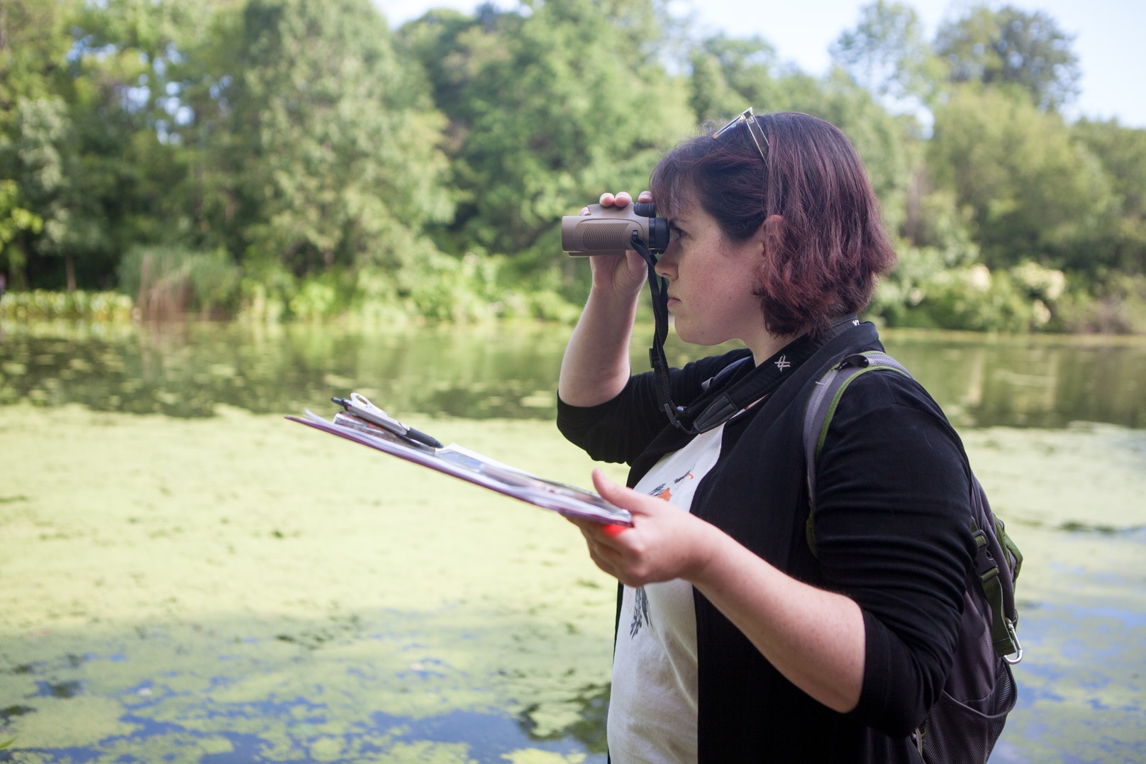 Participant Resources for Climate Watch | Audubon