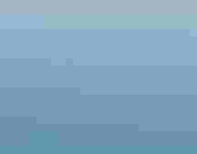 Thousands of albatrosses, like this Wandering Albatross, are killed each year by longline fishing. Sebastian Kennerknecht