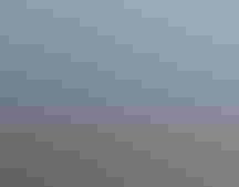 A blue bird flies over a tree.