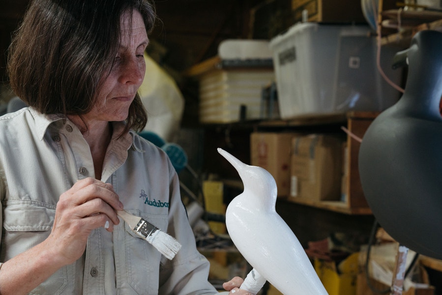 Inside Audubon’s New Decoy Where Saving Seabirds Is the