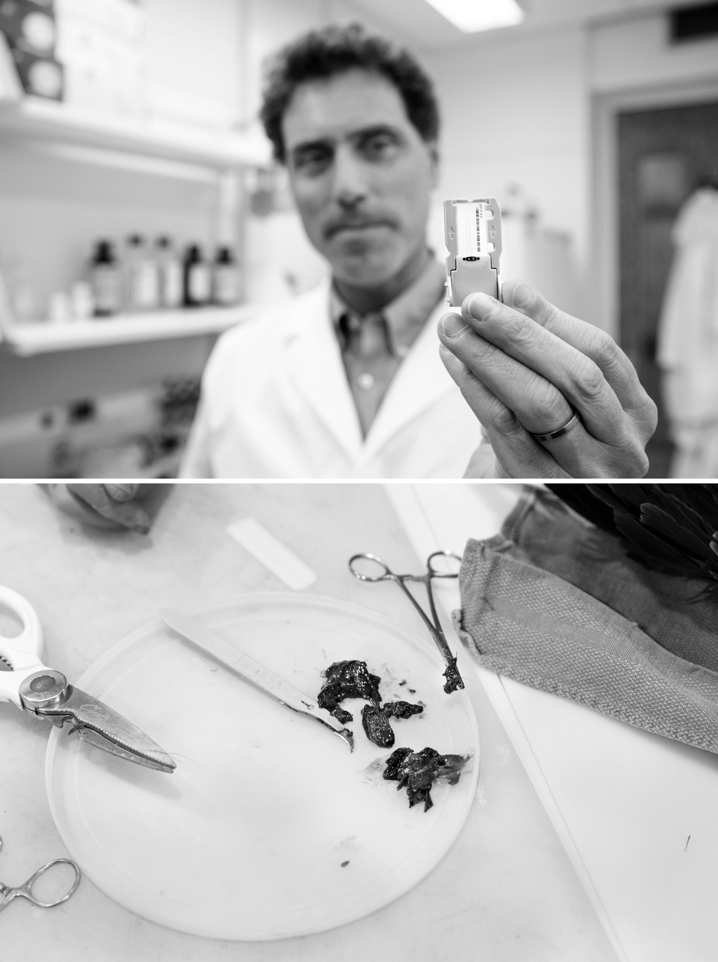 Tony Goldberg, top, is helping to crack the case by using advanced technology to analyze tissue samples from dead eagles. Photos: Tom Lynn