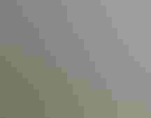 An aerial view of green wetlands surrounded by dry brown land and a body of water in the distance.