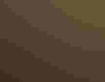 The docks in Beaufort, North Carolina, where the author's adventure began. Megan Mayhew Bergman