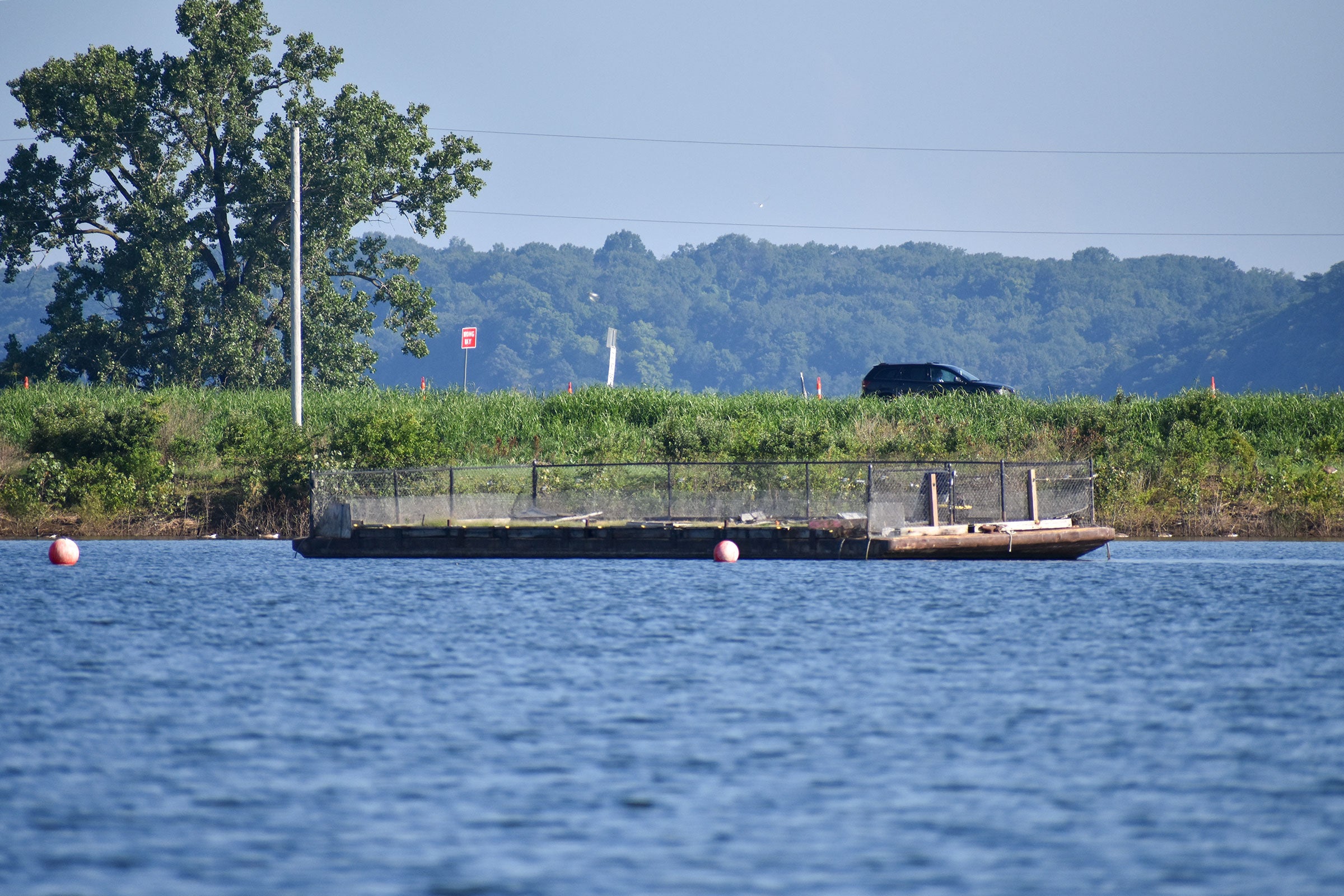 A nesting barge floats in a pond along the Mississippi River near St. Louis. The barge is a floating flat surface covered in sand with a one-meter fence to keep predators out. Its sole purpose is to serve as nesting habitat for birds. Tara Hohman