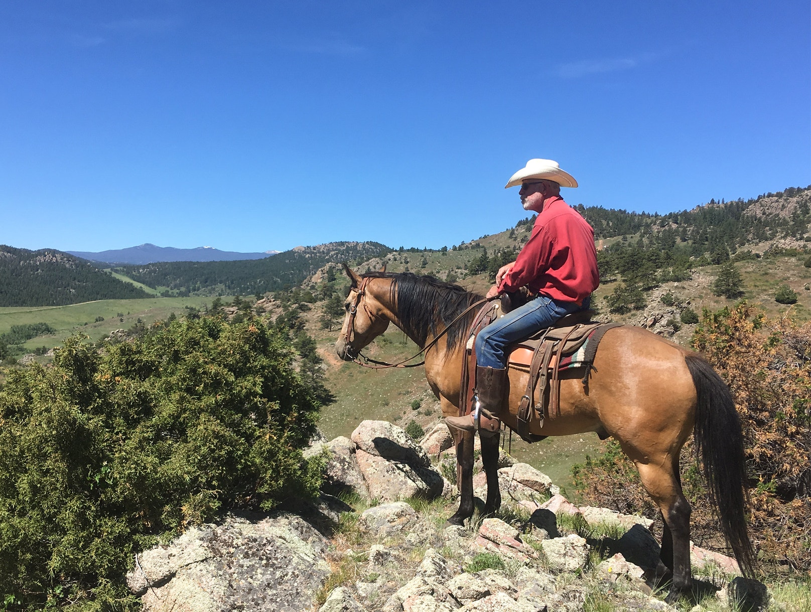 Catching up with Brian Rutledge, Champion of the Sagebrush Sea | Audubon