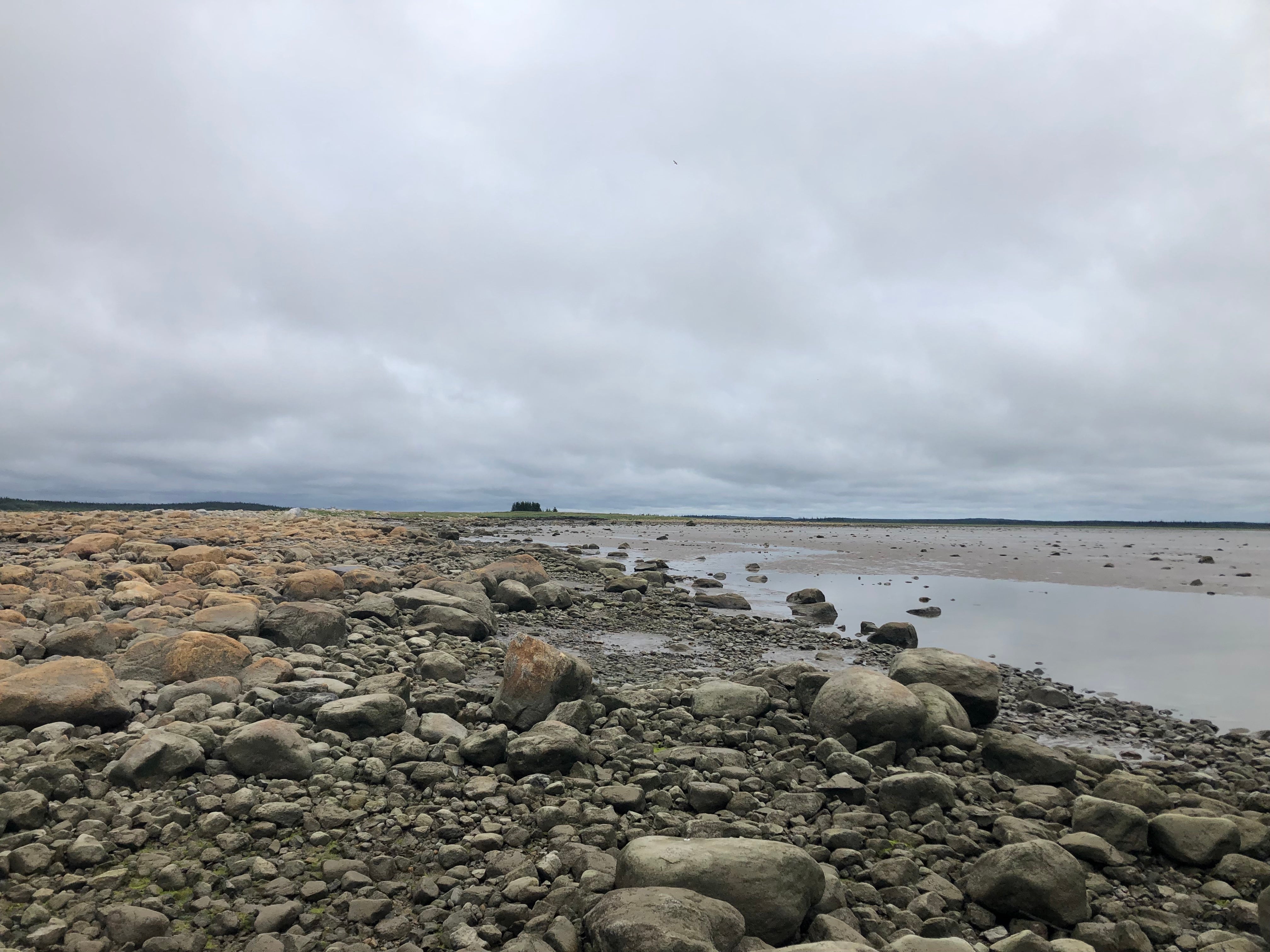 The shore of James Bay.