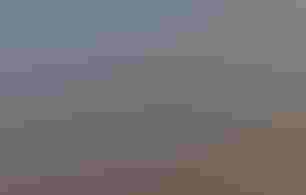 An oil painting of a brightly-colored Western Tanager, modeled after clay, crossing a rocky expanse.