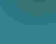 Edel Rodriguez open season