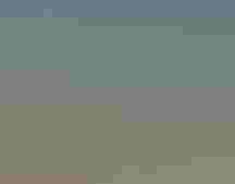 Piping Plover chick | Venu Challa/Audubon Photography Awards