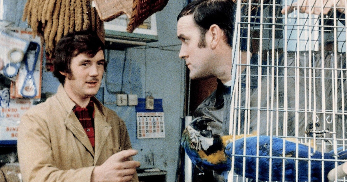 Monte Python Photo Burd's Monty Python's Life of Birds | Audubon