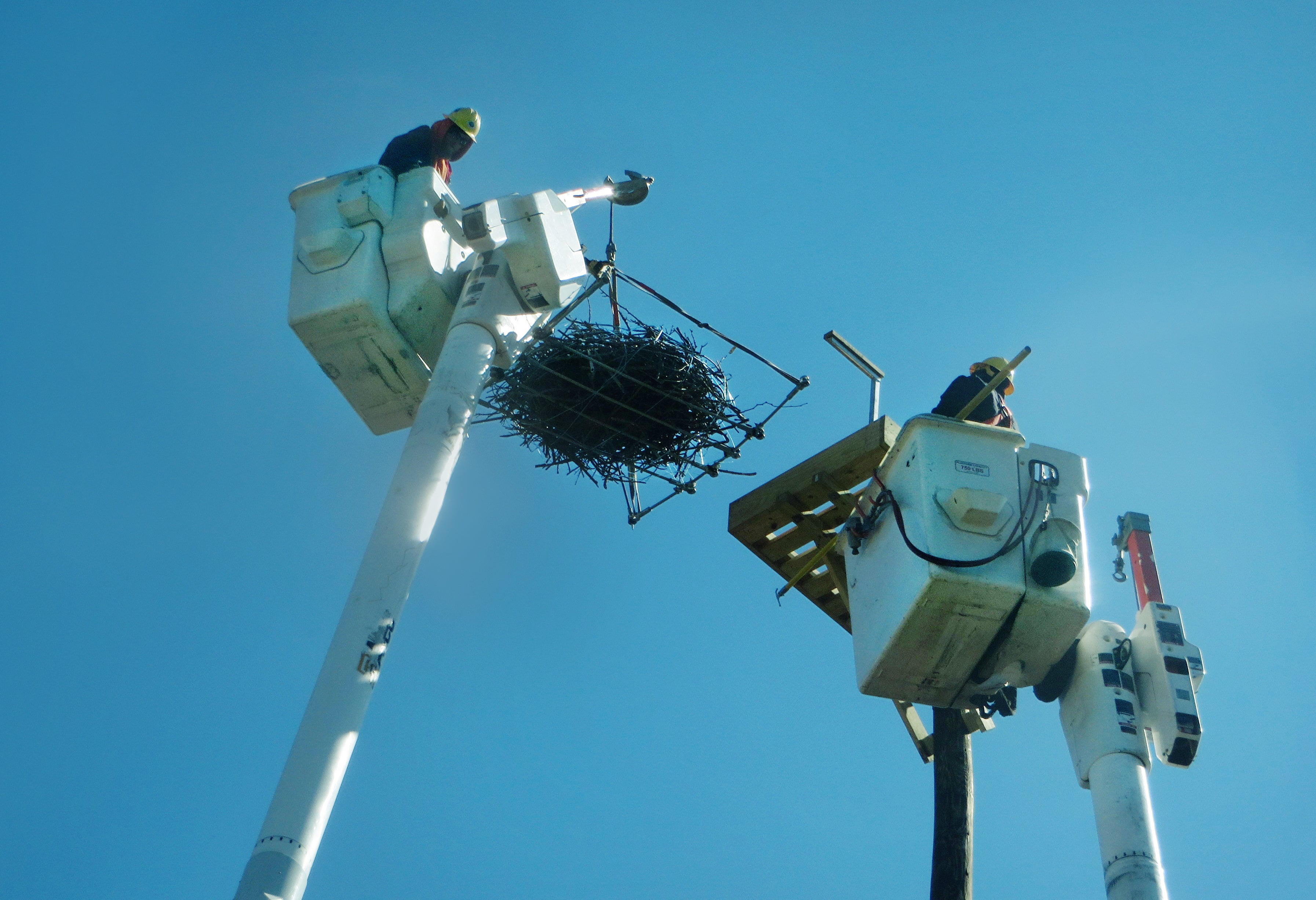 Change of Address Audubon