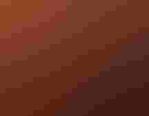 Great Salt Lake. Photo: Scott Law/Flickr CC