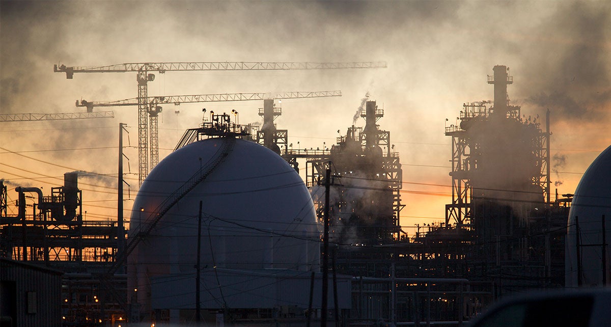 Court Orders EPA to Ban Pesticide Harmful to Children and Birds Within