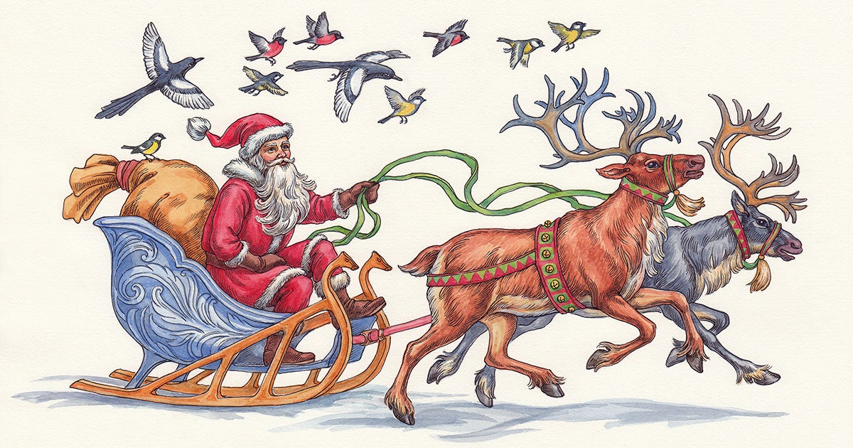 How Many Bird Species Does Santa Claus See On Christmas Eve? | Audubon