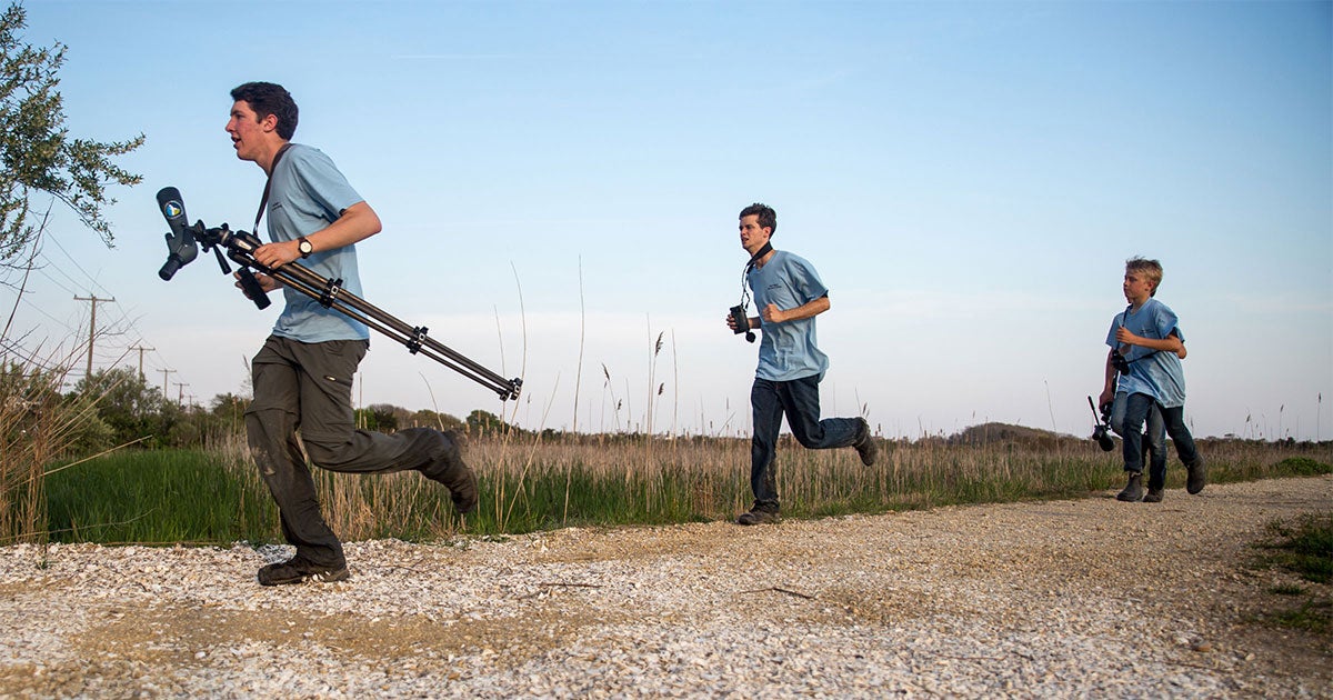 Inside Birding's Most Dramatic 24 Hours Audubon