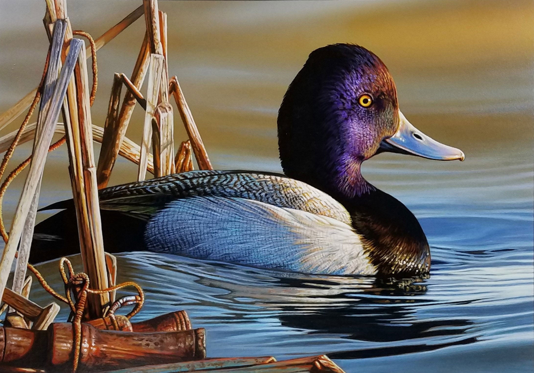 The winning entry to the 2020 Duck Stamp contest featured a Lesser Scaup and a lost duck call. Illustration: Richard Clifton