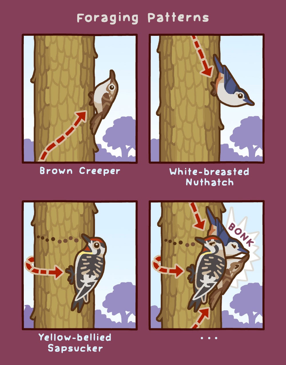 Illustration: Rosemary Mosco/Bird and Moon