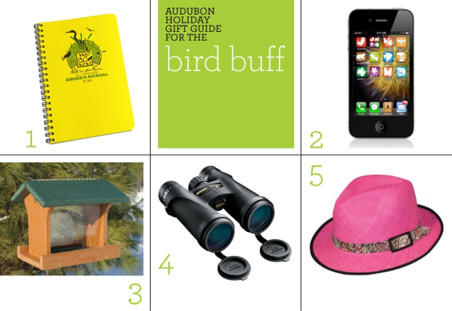 Audubon Holiday Gift Guide Bird Buff Audubon