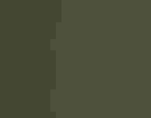 Golden-cheeked Warblers.