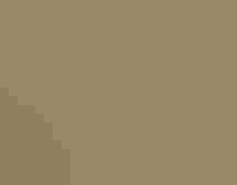 Golden-winged Warbler. Photo: Charlie Trapani/³Ô¹ÏºÚÁÏ Photography Awards