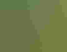 Great Blue Heron. Photo: Madeline Poster/³Ô¹ÏºÚÁÏ Photography Awards