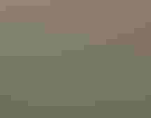 Great Egret | Mark Eden/GBBC