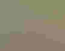 Greater Sage-Grouse. Photo: Vida Ward/³Ô¹ÏºÚÁÏ Photography Awards