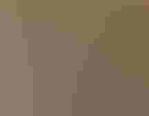 Close up photo of a Greater Sage-Grouse.