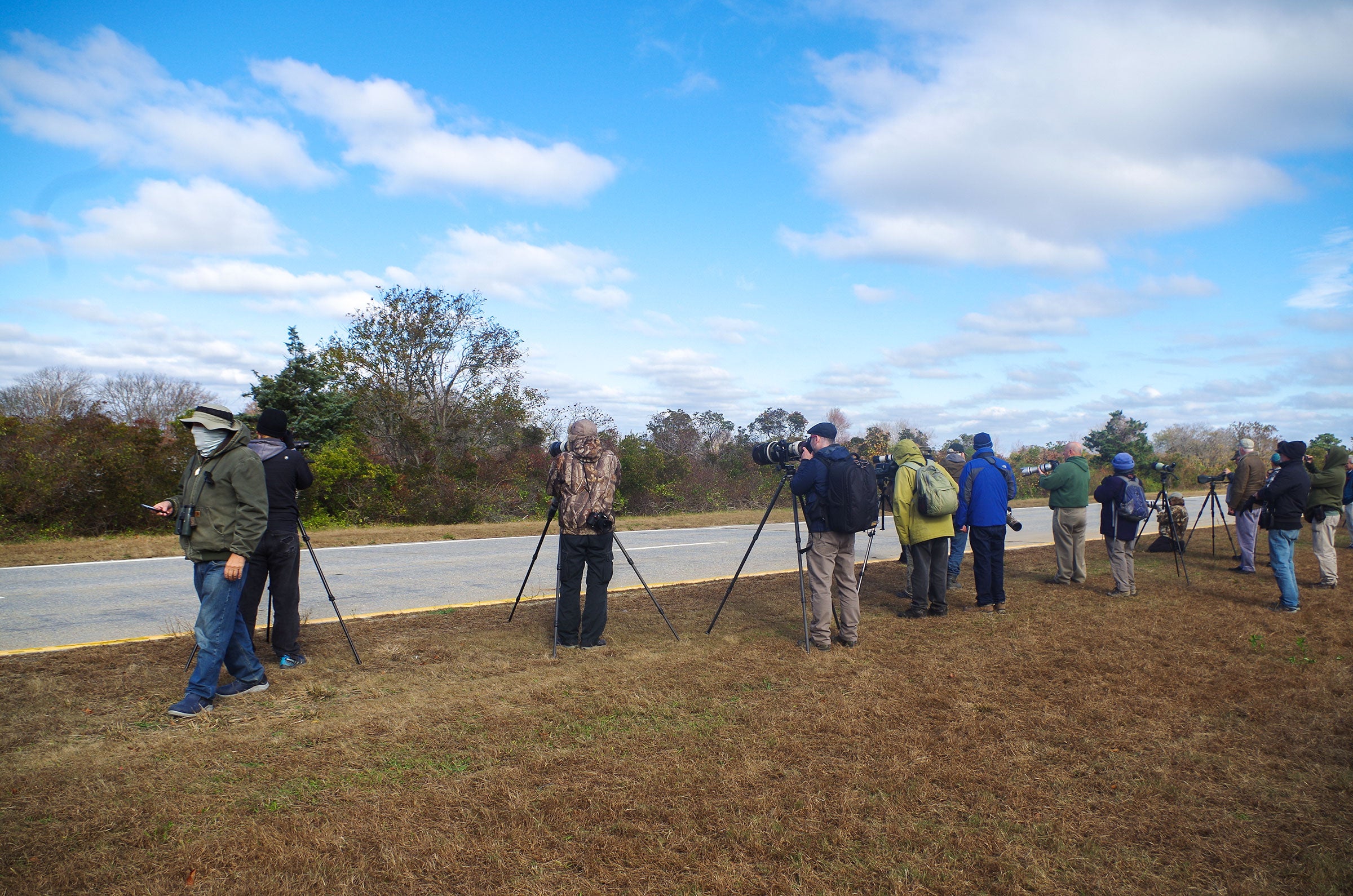 Spotting scopes line the parkway to view the vagrant Corn Crake. Joe Trezza