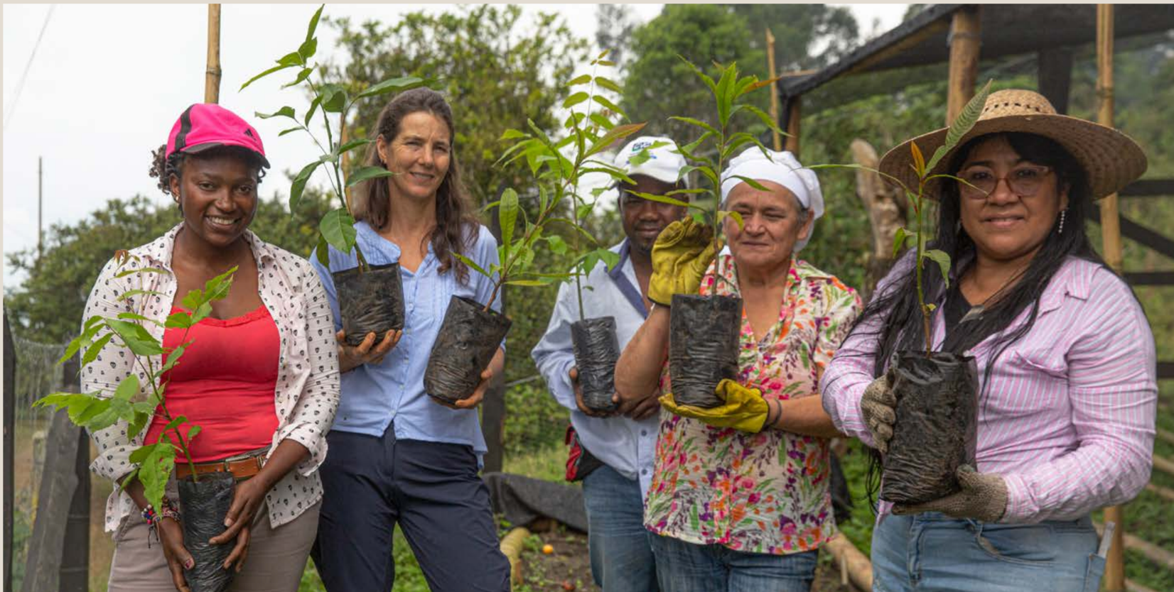 (Vivero comunitario Asocopachí, Ginebra, Valle del Cauca. Foto: Andrés Estefan.)