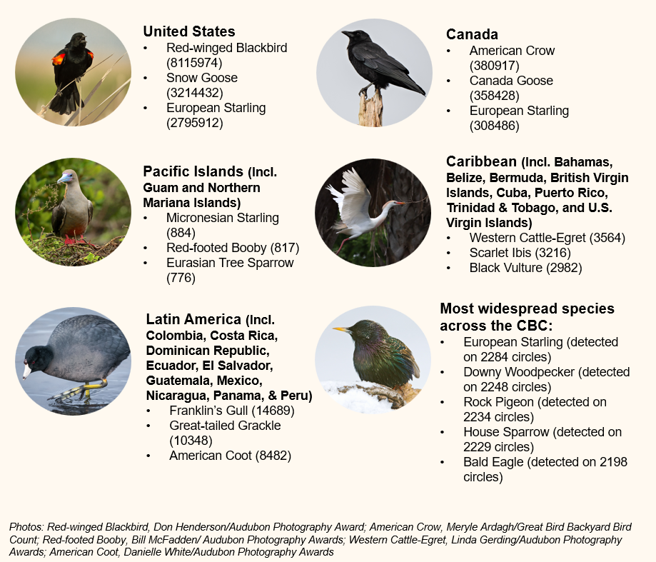 CommonSpeciesGraphic