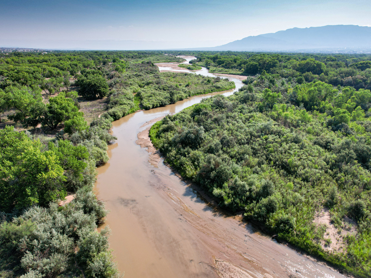 Rio Grande near Corrales