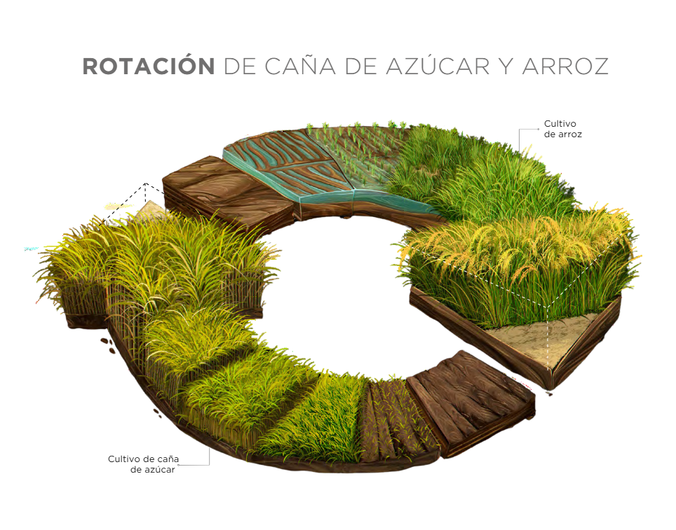 Rotation not only optimizes the use of available resources but also helps mitigate the impact of several factors.