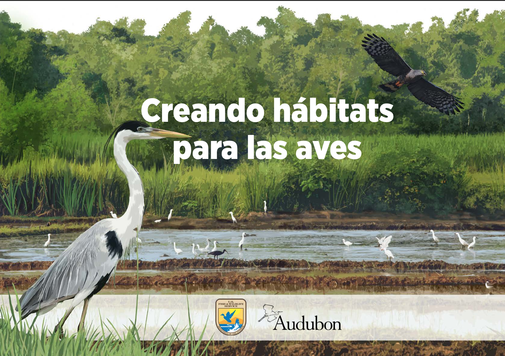 Recomendaciones de plantas para diferentes herramientas de manejo del paisaje con énfasis en la zona plana del Valle del Cauca