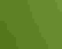 Golden-winged Warbler.