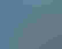 Photo of a Tundra Swan.