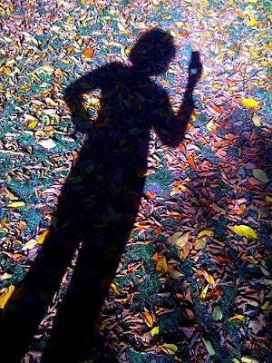iphone picture with leaves
