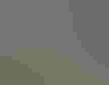 Noah's view of a Pearl-spotted Owlet at Lake Baringo.