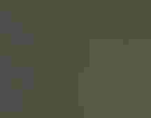 Photograph of plastic pollution in a mangrove ecosystem in the Bay of Panama