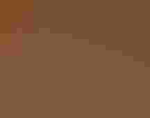 A Wood Stork foraging in shallow water at sunset