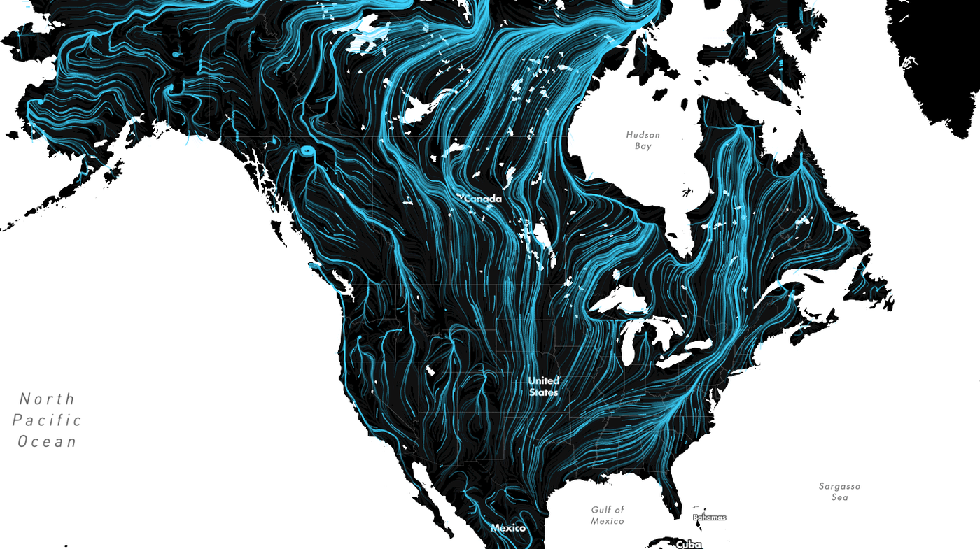 These Amazing Maps Show How Wildlife Will Migrate to Survive Climate ...