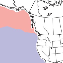 Albatross Map Black-footed Albatross | Audubon Field Guide