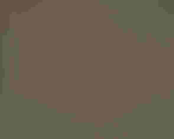 Adult. Photo: David Tipling