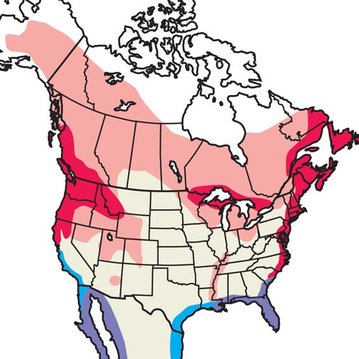 Osprey Sightings Map Satellite Tracking QEFP osprey-sightings-map-satellite-tracking-qefp