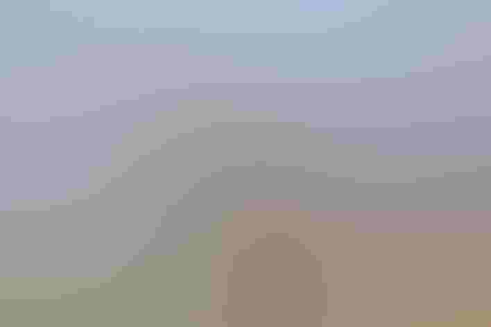 Adult male. Photo: Mick Thompson/³Ô¹ÏºÚÁÏ Photography Awards