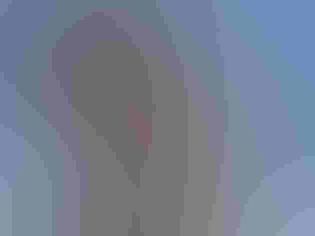 Adult and fledgling. Photo: Thomas Conroy/Audubon Photography Awards