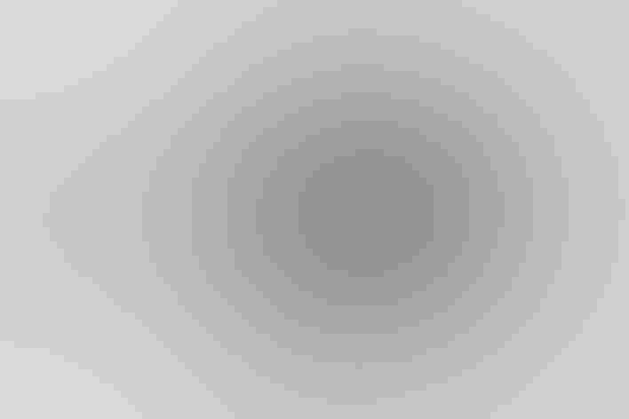 Adult female. Photo: William Burns/³Ô¹ÏºÚÁÏ Photography Awards