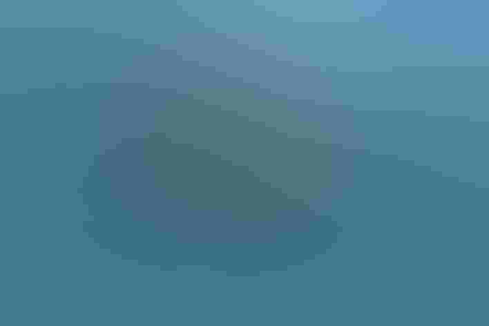 Adult female. Photo: Kyle Kusa/³Ô¹ÏºÚÁÏ Photography Awards