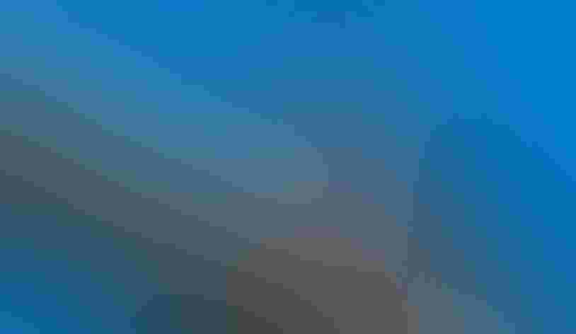 Adult. Photo: Karen Prisby/³Ô¹ÏºÚÁÏ Photography Awards